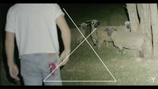MOJO - Izzy N. Griffin [HEIR: VISUALIZER]