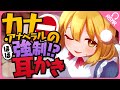 【耳かき/ASMR】カナ・アナベラルのほぼ強制!?耳かき【バイノーラル】