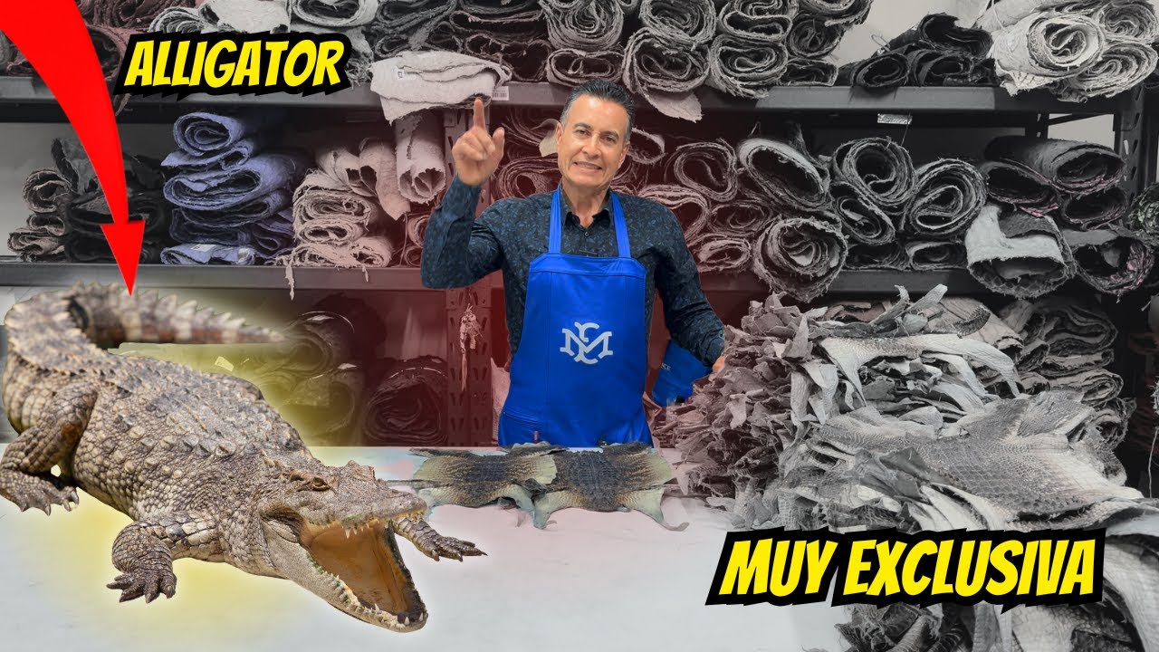 POR ESTA RAZÓN SON TAN EXCLUSIVAS - Piel de Alligator Natural
