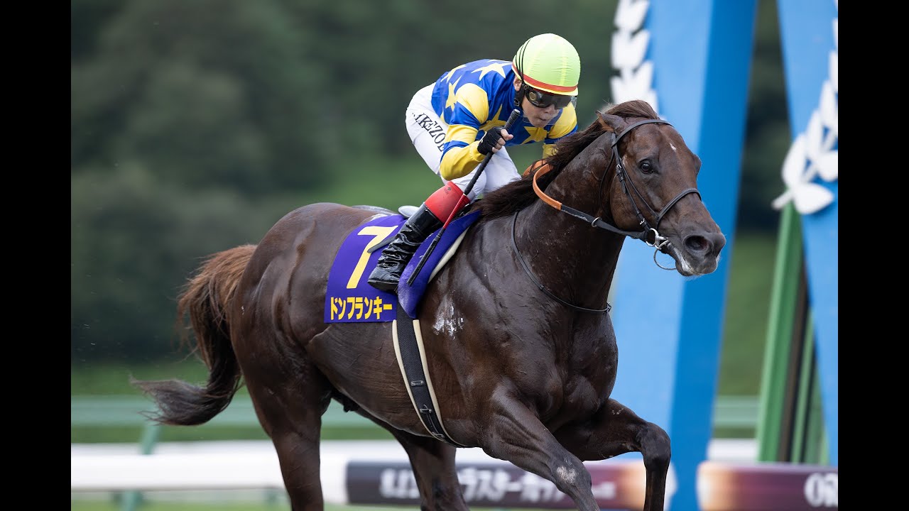 クラスターカップ特設ページ2025｜岩手競馬 岩手競馬クラスターカップ池添謙一ドンフランキーアクリルスタンド当選品