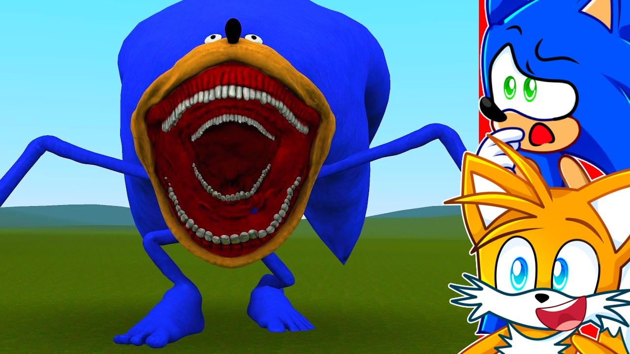 NEW SONIC TAPES MONSTER In GMOD!