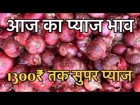 Shajapur mandi pyaj bhav // pyaj bhav today // aaj ka pyaj bhav