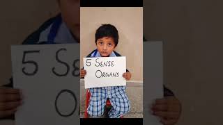 5 senses Activity for kids.....#activitybasedlearning #activityschool