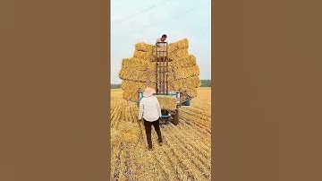 The process of collecting forage grass - good tools and machinery can increase work efficiency