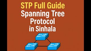 STP Full Guide in Sinhala 🇱🇰 | Spanning Tree එකෙන් Loops Avoid කරන විදිහ - STP PART 1