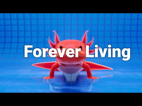 Top 10 Immortal Beasts: Animals with Incredible Lifespans