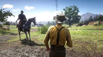 RDR2 - If you were an NPC in the world of RDR2