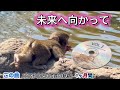 再生回数1000万回！パンチくんの歌をたどる最高に泣けるミュージックビデオ🎥#パンチくんの歌#パンチ君#市川市動植物園❤️