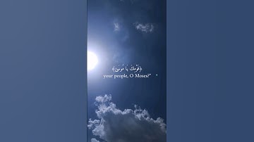 واني لغفار لمن تاب وآمن... | تلاوة الشيخ هيثم الدخين [ سورة طه ] .