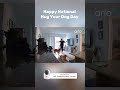 Dogs Finally Get Their Perfect Hug Moment #NationalHugYourDogDay #DogsOfYouTube #PetLove