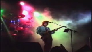 Le Orme - Amico di Ieri - Immagini Live