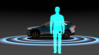 Universal Passive Keyless Entry and Walk-Away Lock kit by VAIS Technology. High Security Device. Wealth