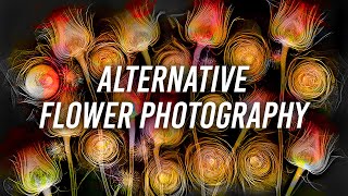 Alternative Flower Photography with Harold Davis screenshot 3