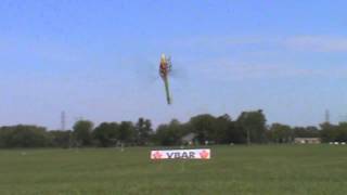 IRCHA 2012 | Kyle Stacy | The One Competition | SAB 'Angry Brids' Goblin