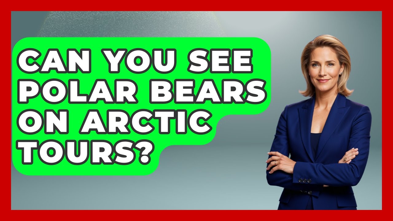 Can You See Polar Bears On Arctic Tours? - Polar Regions Uncovered