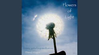 Beyond Space & Time - Flowers of Light - Dreamy Guitarloop Meditations (Chintan-Mix) - David Mages