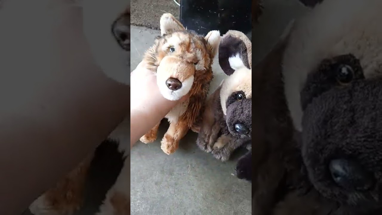 full Webkinz collection of 2022/ off brand stuffies