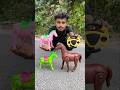 Duita Rc horse vs Boro Remote control horse Unboxing