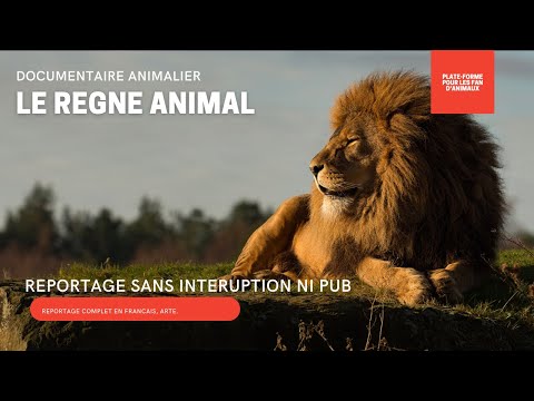 DOCUMENTAIRE ANIMALIER - LE REGNE ANIMAL - REPORTAGE COMPLET