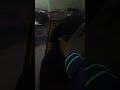 Dr Abdil Aziz Twabibu Ikipambana Na Majini Burundi Miga 25767773749 243992112727 Asiliana What 