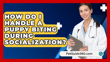 How Do I Handle A Puppy Biting During Socialization? - PetGuide360.com