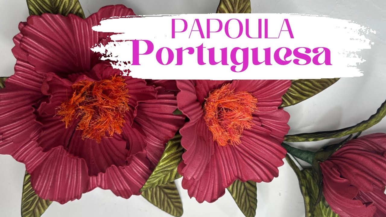 PAPOULA PORTUGUESA