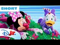 Whoa Christmas Tree! 🎄💝 | Minnie's Bow-Toons: Pet Hotel | @disneyjr
