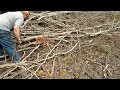 Loggers Rescue Fawn!!