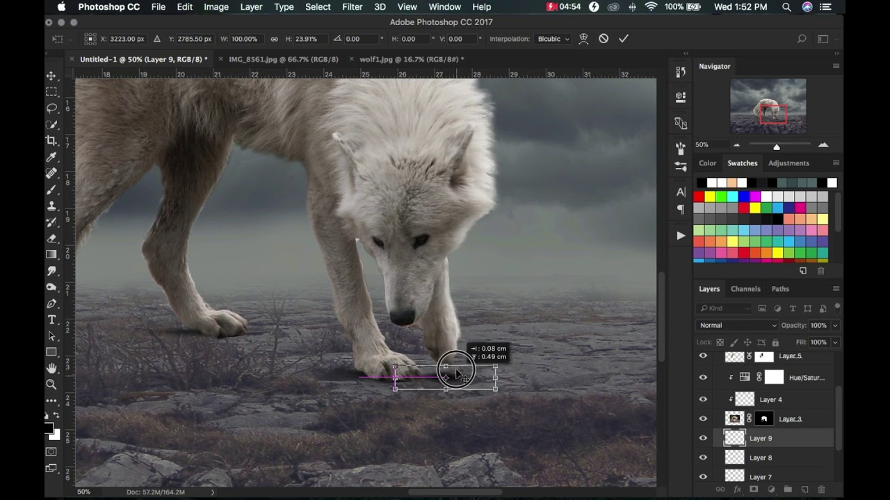 The Lone Wolf | Digital Art Photo Manipulation Edit