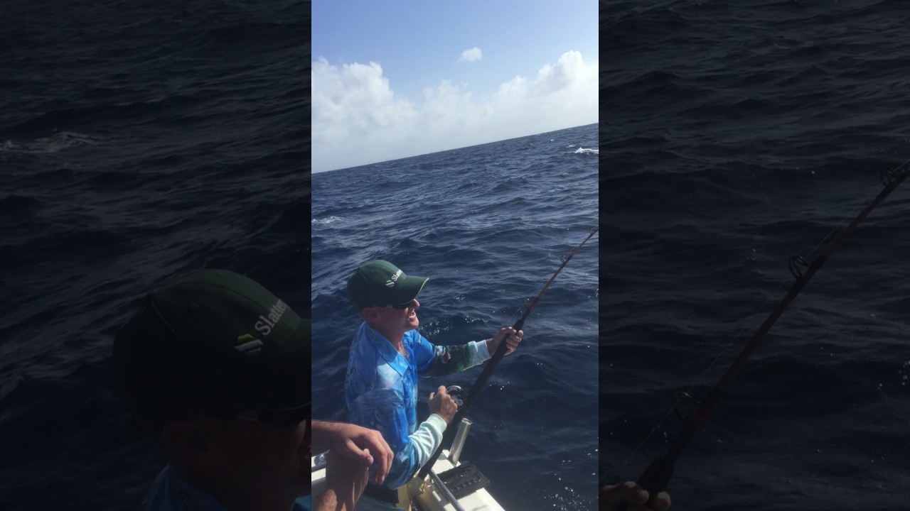 SUNSHINE COAST FISHING CHARTERS