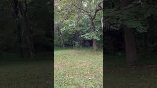 IMG 1822