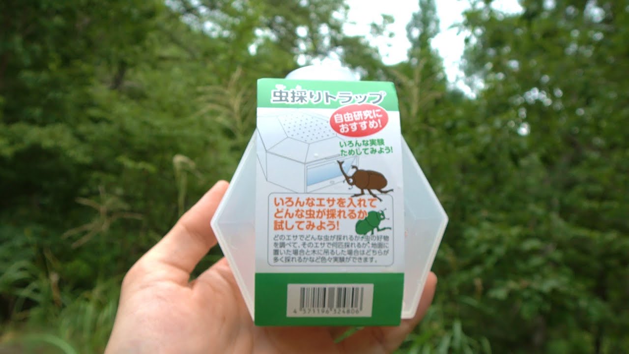 100円ショップの「虫採りトラップ」を山に仕掛けると…