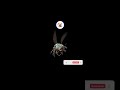 UPBGE - Flying Bug Horror For Film And Sci Fi @joyack3d