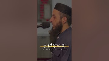 Mala Bahzad Quran Surah Anajm - - - ملا بهزاد دوسكي سورة النجم