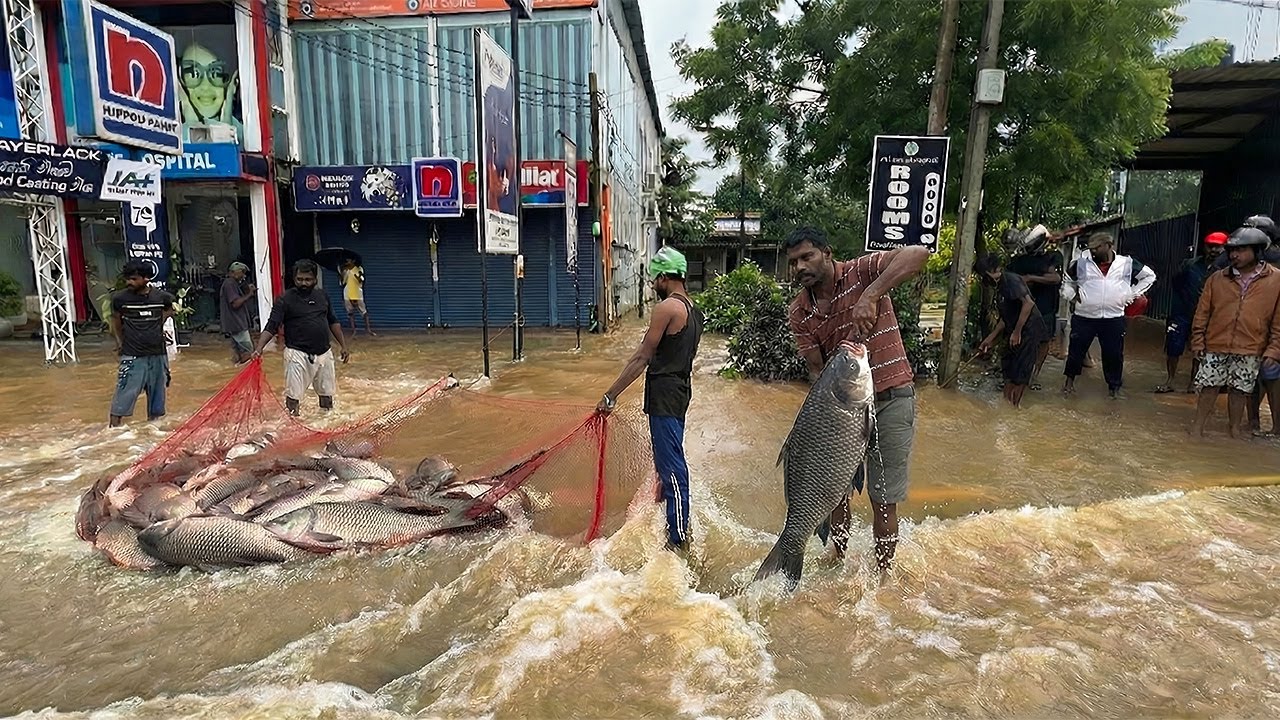 World’s First Fishing on a Flooded City’s Main Road!😱 Catching Giant Fish Amid Traffic After Cyclone
