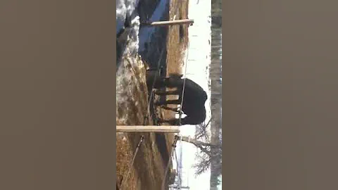 Nordby Sleipner og Veslefrikk