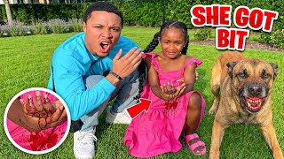 Girl Gets BIT By VICIOUS DOG, What Happens Next Is Shocking