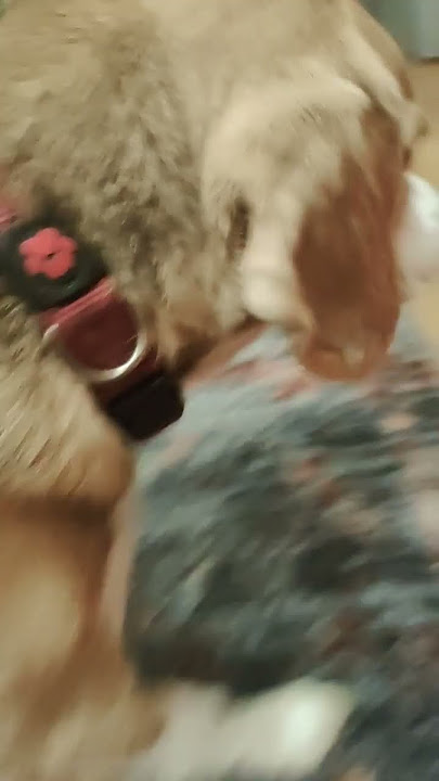 Jok9