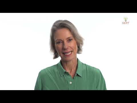 GEPF Two-Pot: Savings Pot explained