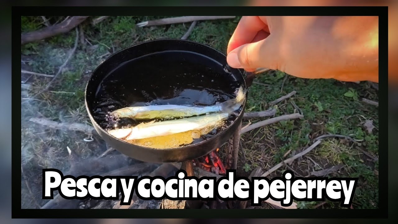 pesca de pejerrey y cocina chile 2025| silverside fishing and cooking chile 2025
