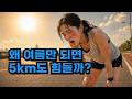 여름 러닝 진짜 힘든 이유 (이거 없으면 퍼집니다)