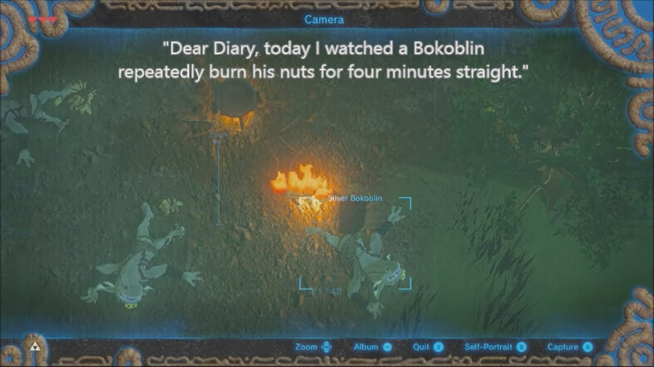 A Brief Study of the Intelligence of the Average Silver Bokoblin