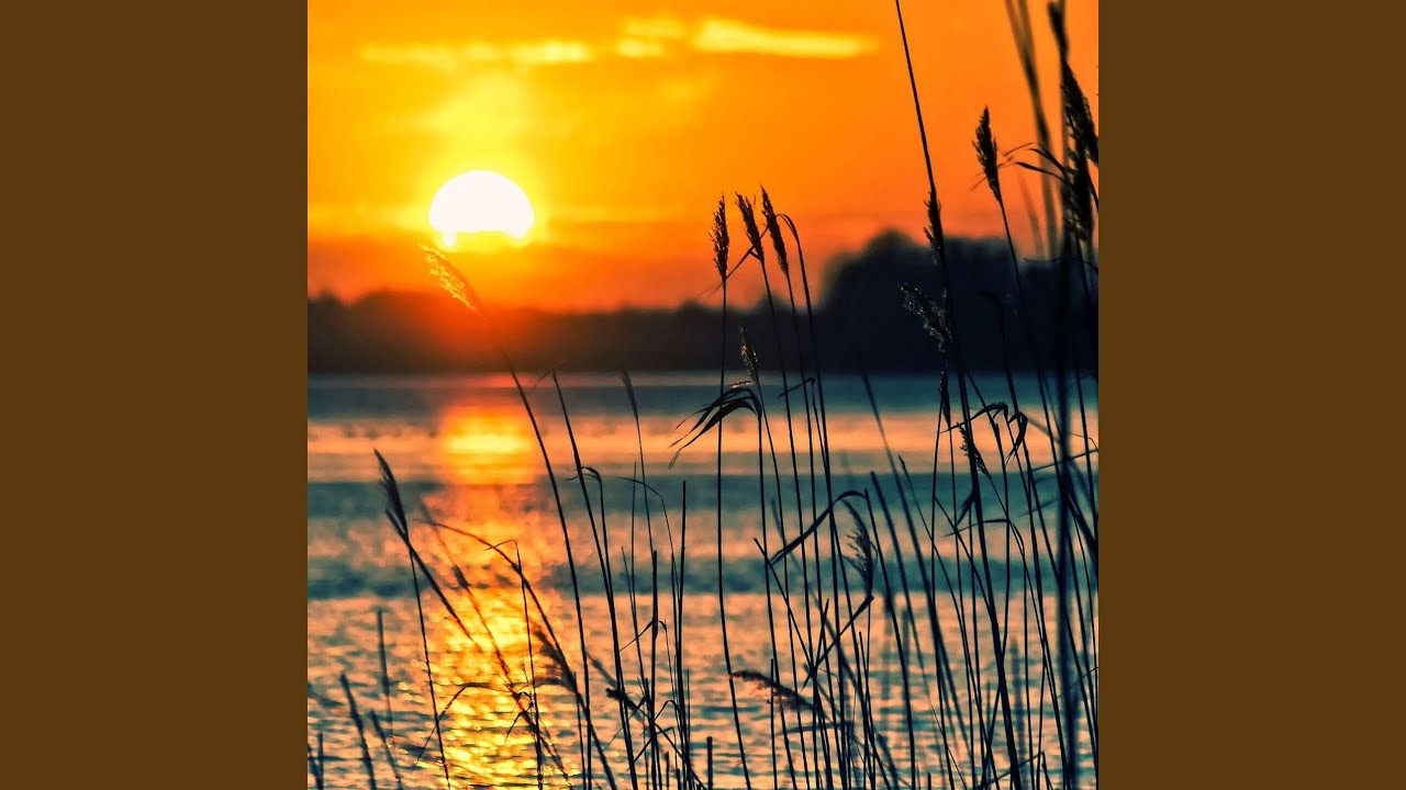 Never Leave This Place