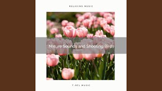 Enjoy Life, Gain Sleep Nature Noises for Extreme Calm down pt. 2 - Baltic Nature Sounds
