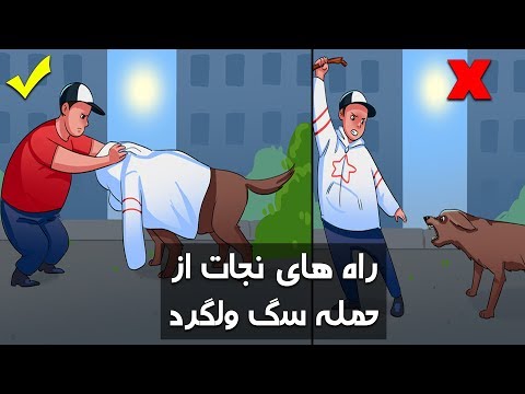 تصویری: چگونه سگ خود را در کشور ایمن نگه داریم