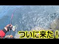 ついに来ました！！　　　大分県米水津　沖黒島 東のサラシ　Deeper CHIRP+ 2