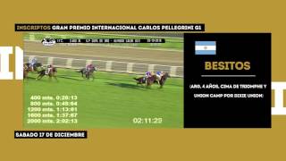 BESITOS- PELLEGRINI 2016