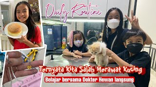 Daily Routine | Belajar Merawat Anak Kucing bersama Dokter Hewan