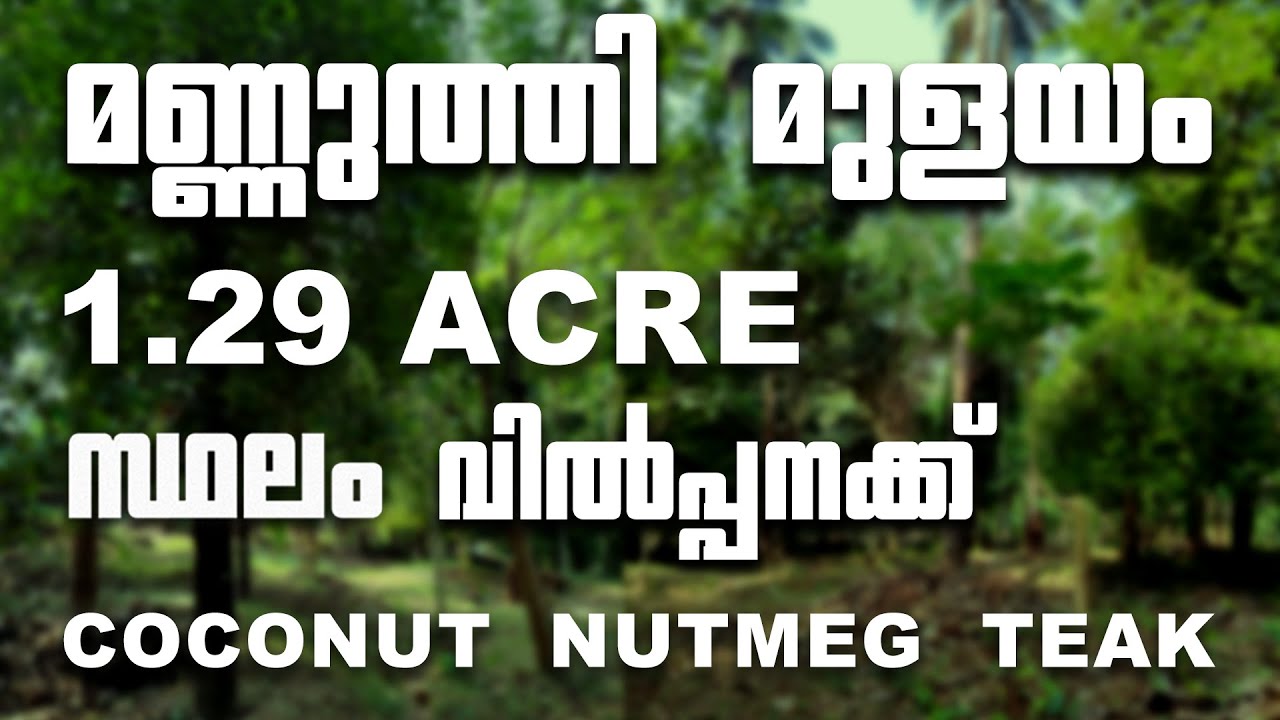 THRISSUR MANNUTHY MULAYAM | 1.29 ACRE LAND FOR SALE | POND | MOTOR SHED | COCONUT , NUTMEG , TEAK