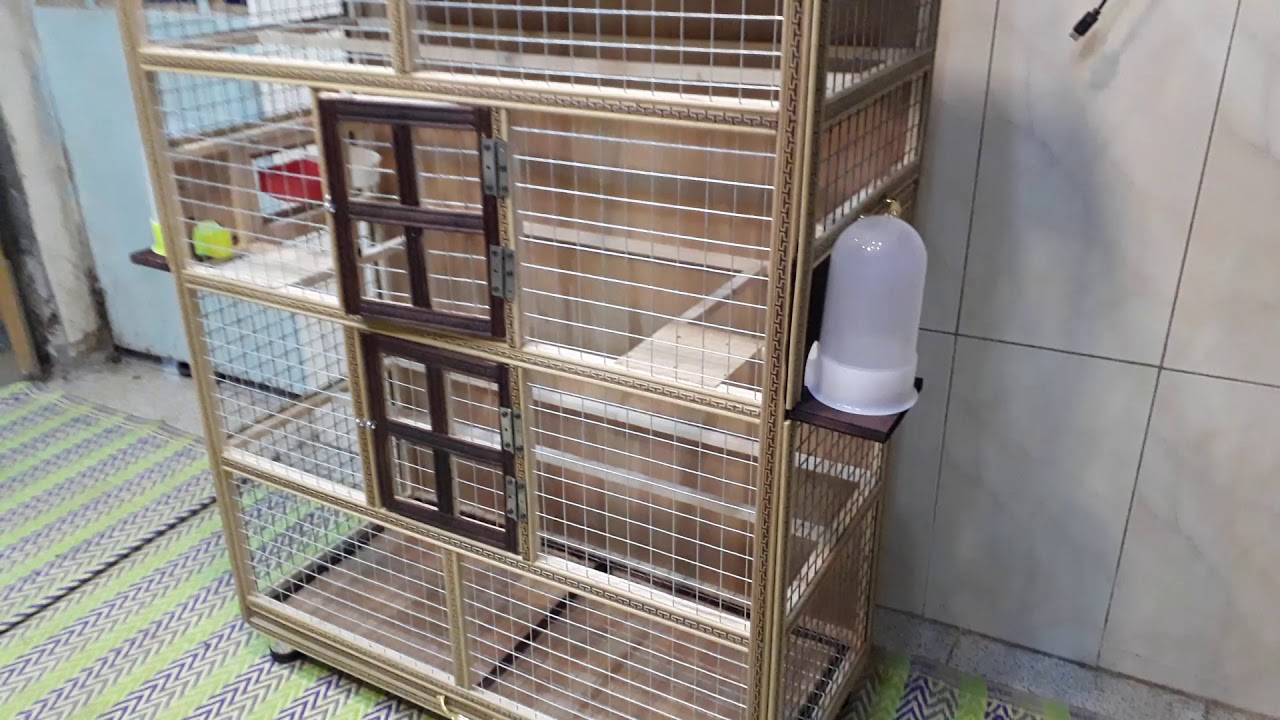 السلام عليكم قفص ديكور  حجم كبير ارتفاع ١٤٠ عرض ١٠٠ نزال٤٥ اكل شرب من بره جرار تنضيف رقم٠٧٧١٩٤٨٨٦٦٥